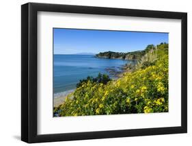 Blooming Flowers over Oneroa Beach-Michael-Framed Photographic Print