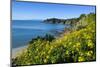 Blooming Flowers over Oneroa Beach-Michael-Mounted Photographic Print