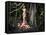 Blooming Gorgeous Lady In A Dress Of Flowers In The Rainforest-George Mayer-Framed Stretched Canvas