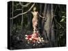 Blooming Gorgeous Lady In A Dress Of Flowers In The Rainforest-George Mayer-Stretched Canvas