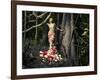 Blooming Gorgeous Lady In A Dress Of Flowers In The Rainforest-George Mayer-Framed Art Print