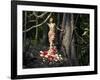 Blooming Gorgeous Lady In A Dress Of Flowers In The Rainforest-George Mayer-Framed Art Print