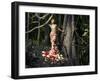 Blooming Gorgeous Lady In A Dress Of Flowers In The Rainforest-George Mayer-Framed Art Print