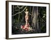 Blooming Gorgeous Lady In A Dress Of Flowers In The Rainforest-George Mayer-Framed Art Print