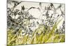 Blooming Grass 4477-Rica Belna-Mounted Giclee Print