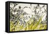 Blooming Grass 4477-Rica Belna-Framed Stretched Canvas