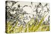 Blooming Grass 4477-Rica Belna-Stretched Canvas