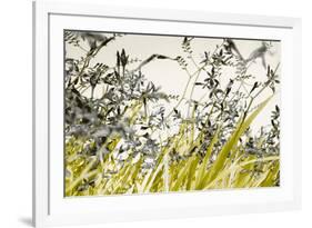 Blooming Grass 4477-Rica Belna-Framed Giclee Print