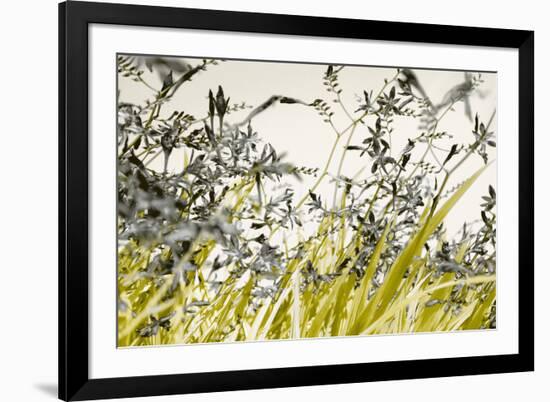 Blooming Grass 4477-Rica Belna-Framed Giclee Print