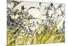 Blooming Grass 4477-Rica Belna-Mounted Premium Giclee Print