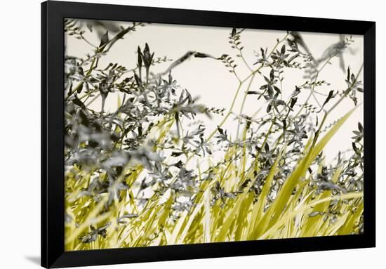 Blooming Grass 4477-Rica Belna-Framed Premium Giclee Print