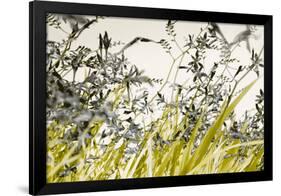 Blooming Grass 4477-Rica Belna-Framed Premium Giclee Print