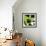 Blooming Green-Herb Dickinson-Framed Photographic Print displayed on a wall