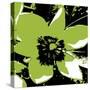 Blooming Green-Herb Dickinson-Stretched Canvas