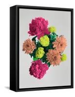 Blooming Happiness-Anne Storno-Framed Stretched Canvas