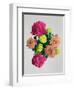 Blooming Happiness-Anne Storno-Framed Giclee Print