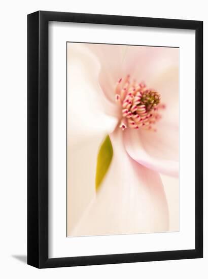 Blooming I-Christine Zalewski-Framed Art Print