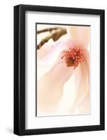 Blooming II-Christine Zalewski-Framed Art Print