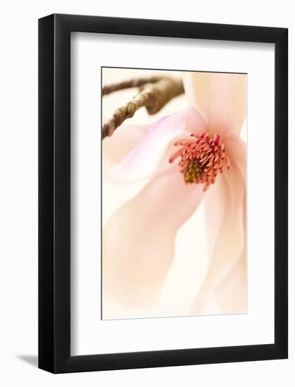 Blooming II-Christine Zalewski-Framed Art Print