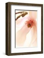 Blooming II-Christine Zalewski-Framed Art Print