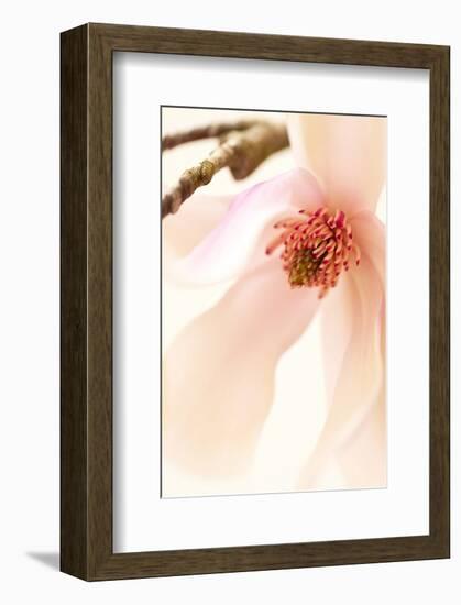 Blooming II-Christine Zalewski-Framed Art Print