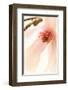 Blooming II-Christine Zalewski-Framed Art Print