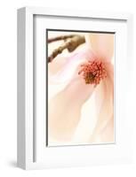 Blooming II-Christine Zalewski-Framed Art Print