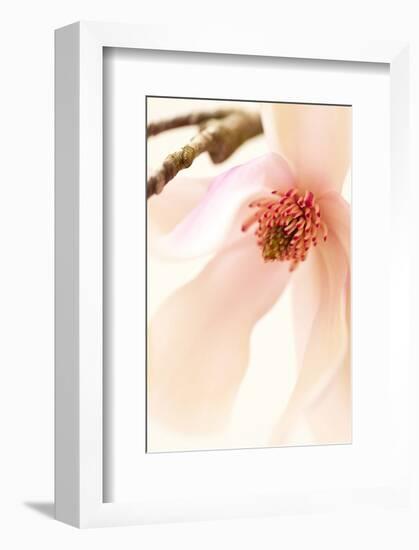 Blooming II-Christine Zalewski-Framed Art Print