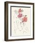 Blooming II-Melissa Wang-Framed Art Print