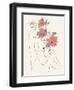Blooming II-Melissa Wang-Framed Art Print
