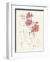 Blooming II-Melissa Wang-Framed Art Print