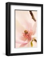 Blooming III-Christine Zalewski-Framed Art Print