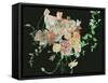 Blooming in the Dark II-Melissa Wang-Framed Stretched Canvas