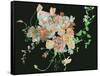 Blooming in the Dark II-Melissa Wang-Framed Stretched Canvas