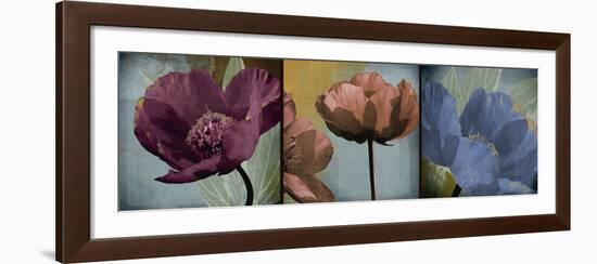 Blooming Jewels-Robert Lacie-Framed Art Print