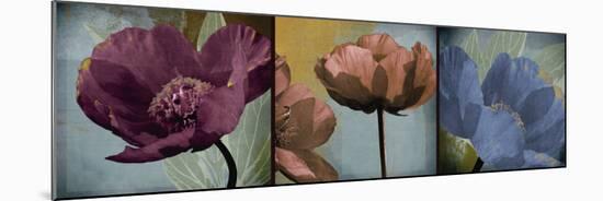 Blooming Jewels-Robert Lacie-Mounted Art Print