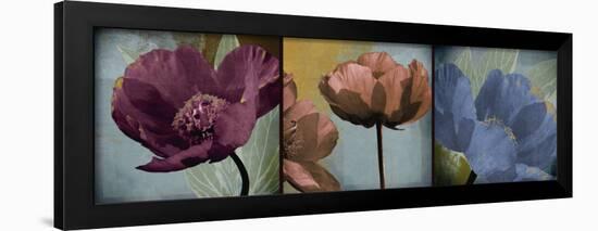 Blooming Jewels-Robert Lacie-Framed Art Print