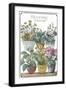 Blooming Journal-Sasha-Framed Giclee Print