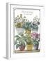 Blooming Journal-Sasha-Framed Giclee Print