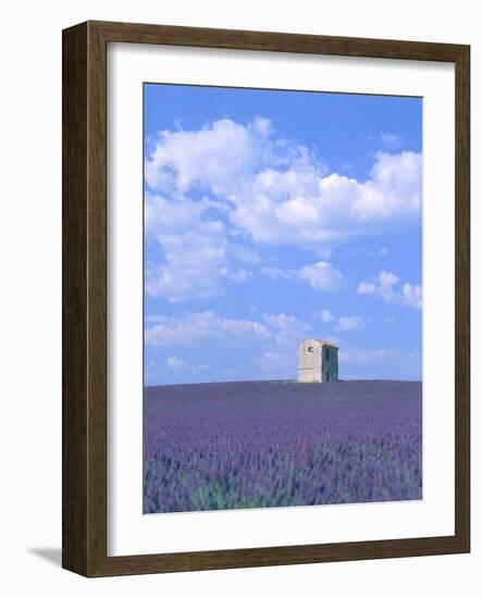 Blooming lavender and stone house in France-Herbert Kehrer-Framed Photographic Print