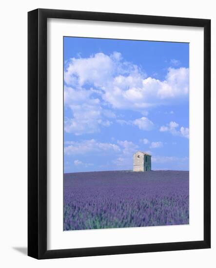 Blooming lavender and stone house in France-Herbert Kehrer-Framed Photographic Print