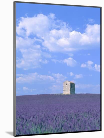 Blooming lavender and stone house in France-Herbert Kehrer-Mounted Photographic Print