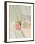 Blooming Letters-Mandy Lynne-Framed Art Print