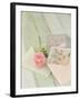 Blooming Letters-Mandy Lynne-Framed Art Print