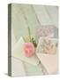 Blooming Letters-Mandy Lynne-Stretched Canvas