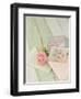 Blooming Letters-Mandy Lynne-Framed Art Print