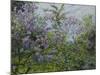 Blooming Lilac, about 1921-Max Slevogt-Mounted Giclee Print