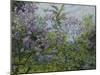 Blooming Lilac, about 1921-Max Slevogt-Mounted Giclee Print