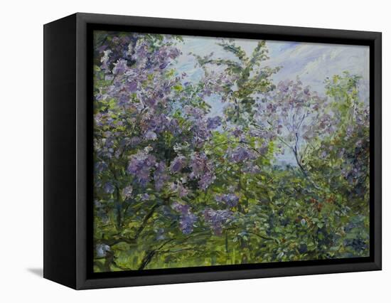 Blooming Lilac, about 1921-Max Slevogt-Framed Stretched Canvas