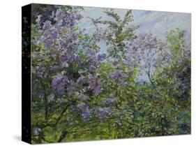 Blooming Lilac, about 1921-Max Slevogt-Stretched Canvas